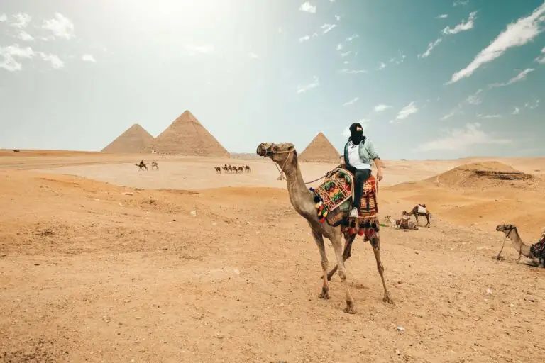 pexels spencer davis 4356135